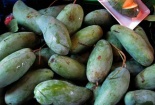 Xoài Thái 'rởm' ăn như gạo sống